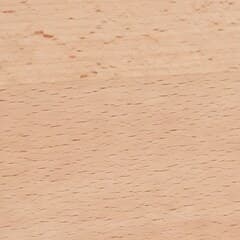 Beech timber, close up